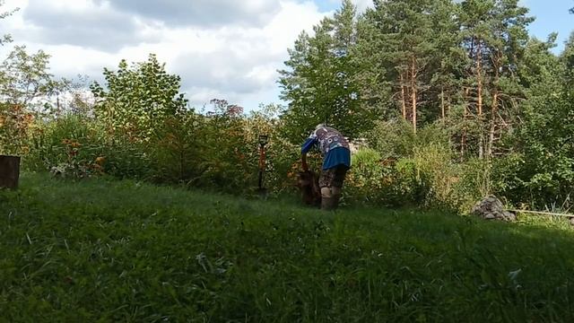 Пошла в ЛЕС и Нашла ТО, Что Сделать не Смогла смотреть онлайн