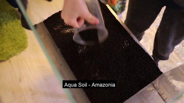 Каридины: запускаем креветочник ПРАВИЛЬНО. смотреть онлайн