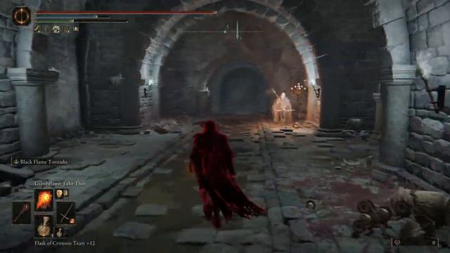ELDEN RING PvP Invasions Black Flame Tornado Toilet смотреть онлайн