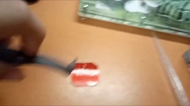 Как и чем кормить чёрных садовых муравьёв? #2 смотреть онлайн