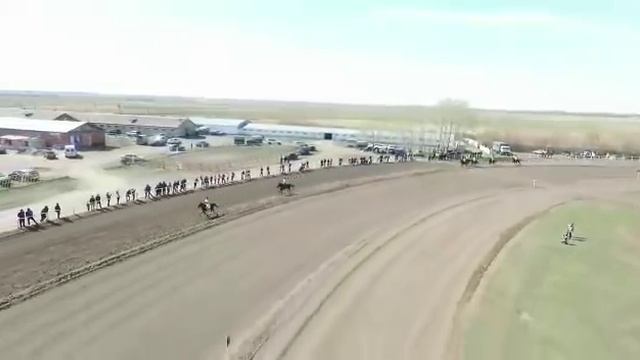 Заезд иноходцев смотреть онлайн