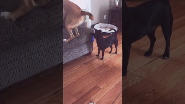 My little lucas!!! смотреть онлайн