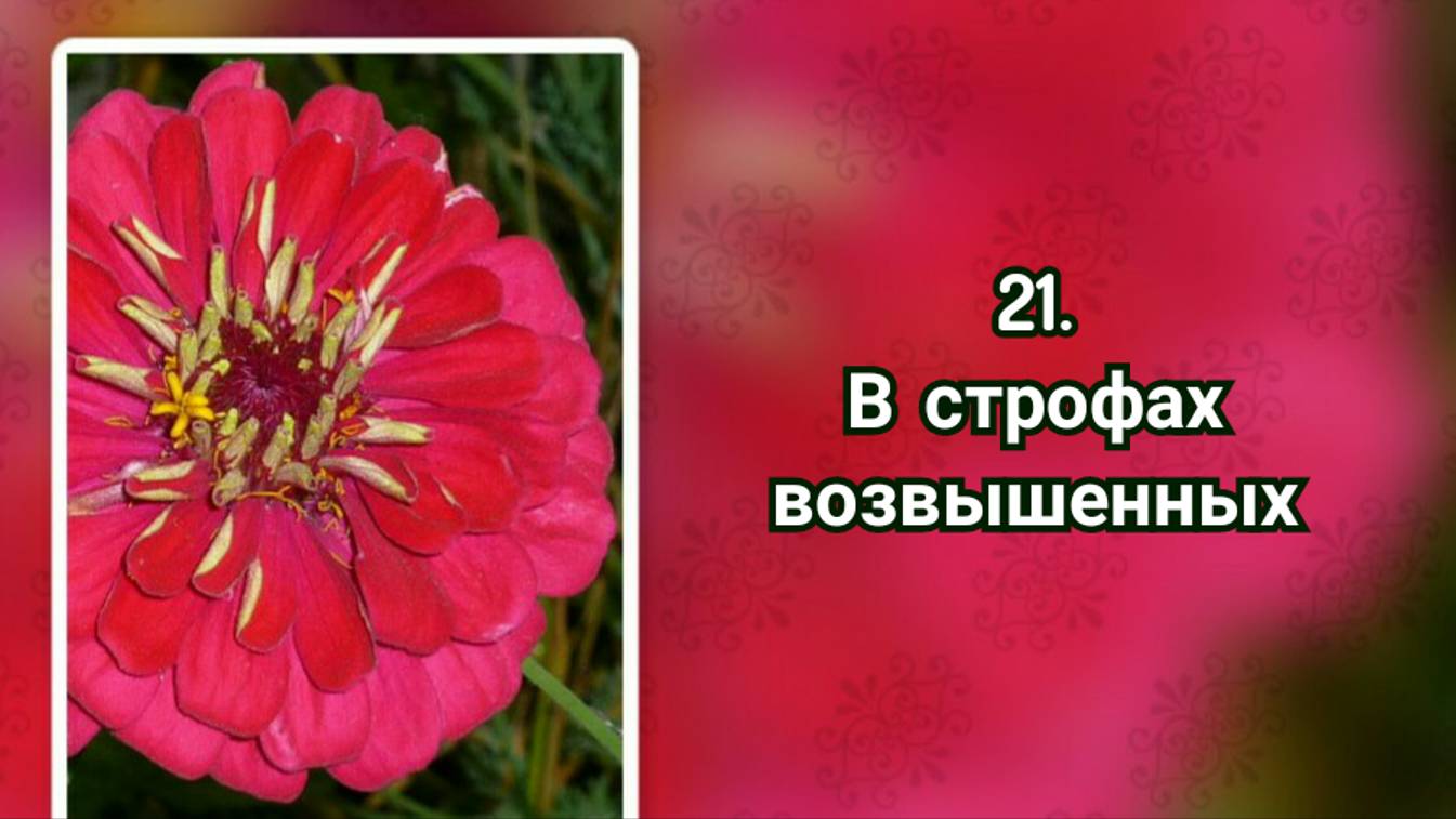 Гимны надежды 21 В строфах возвышенных (-) смотреть онлайн