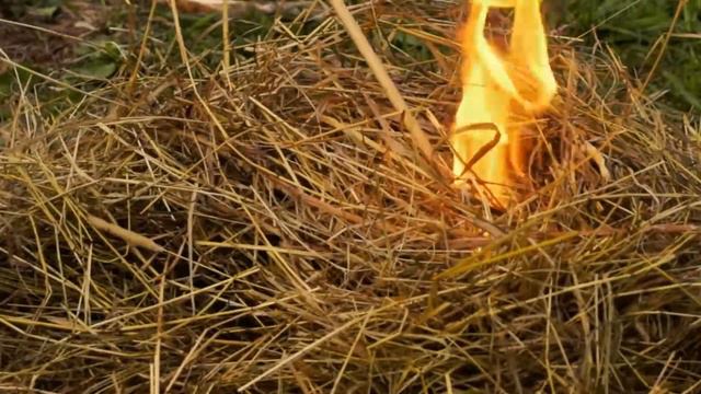 Набег татаро монгол смотреть онлайн