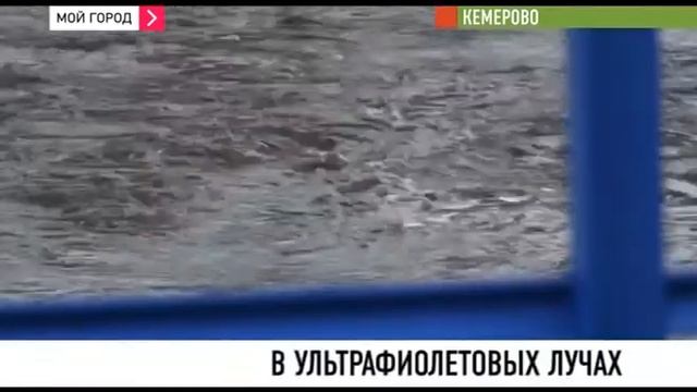 Тайну очистки сточных вод приоткрыли на Азоте смотреть онлайн