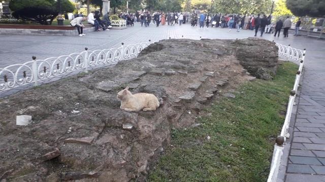 2019_ISTANBUL