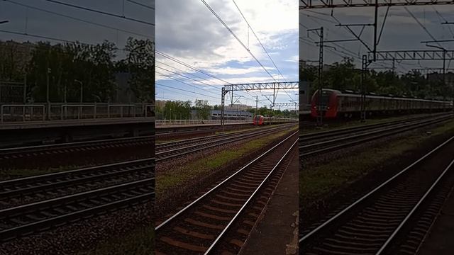 Сапсан и Ласточка#поезда смотреть онлайн