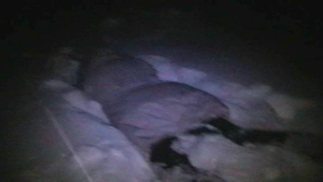 Девочки решили взбодриться смотреть онлайн