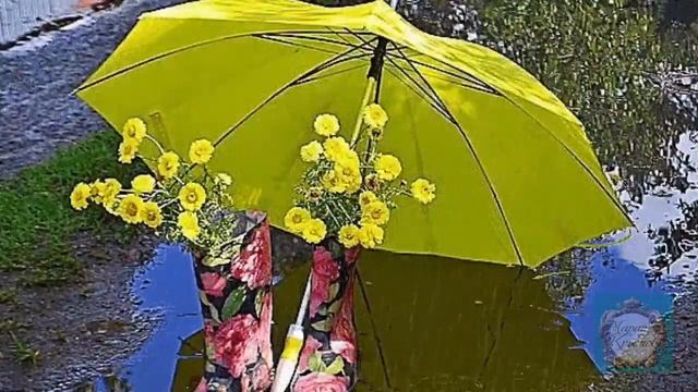 Новинка! "КАП КАП" - как же не хватает сейчас таких добрых песен! смотреть онлайн