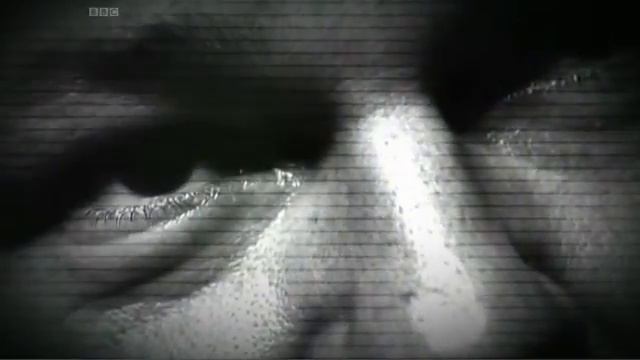 Julian Assange detention & arrest & report on his politics, BBC Newsnight, 7th December 2010 смотреть онлайн