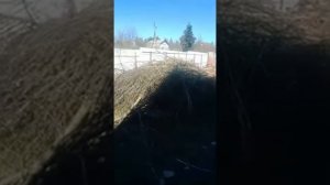 Теперь производство и продажа измельчителей веток в России. Измельчитель веток Технова