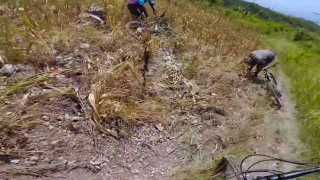 My first unboxing video - Dartmoor Stem Beetle DART-A2529 смотреть онлайн