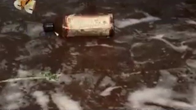 Кого быстрее помыть - крысу или слона? смотреть онлайн