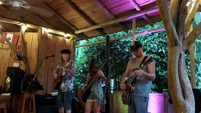 "where do you think you're going" Dire Staits #livemusic #guitar #cover смотреть онлайн