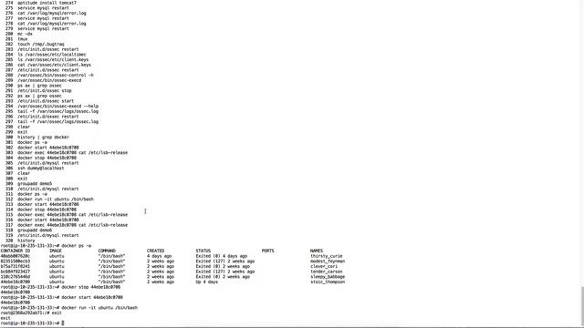 Cloudaware IDS for Amazon Web Services with Docker смотреть онлайн