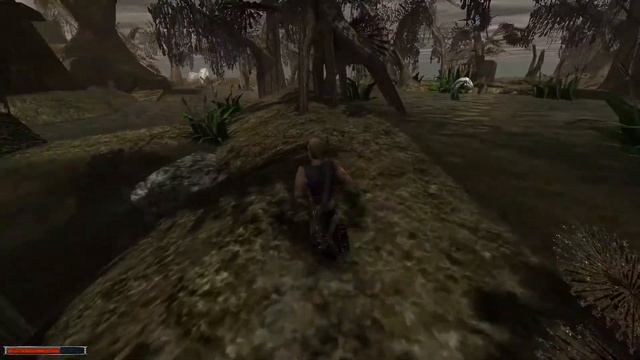 Let's Play Gothic #29 Sumpfhaie [German] смотреть онлайн