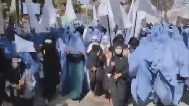 Гурии Талибан 2 смотреть онлайн
