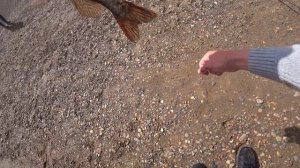 Поездка в Удмуртию, рыбалка на реке Кама