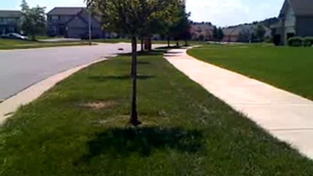 Custom Brushless Tower Terror with a Mamba Monster! смотреть онлайн