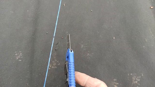 Высадка черенков инжира в грунт. смотреть онлайн