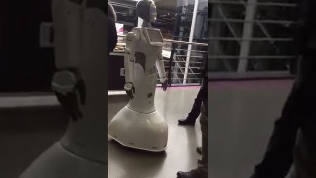 Фуд сити смотреть онлайн
