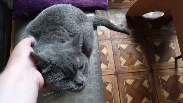 Искусство и Творчество