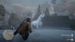 Как приручить арабскую лошадь в рдр2