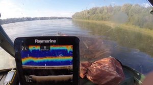 Как отображается щука на экране эхолота raymarine dragonfly ? Утопим её по лодку и увидим.
