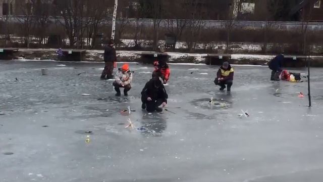Ловля форели со льда 01.12.19. РК Фишка Липки. смотреть онлайн
