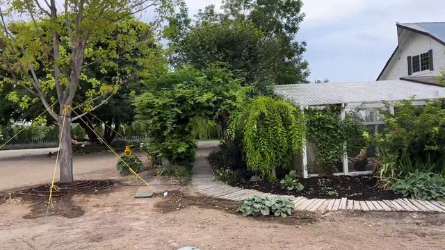 August Garden Tour! Trying to Keep Things Alive in the Heat! 💚😁🌿 смотреть онлайн