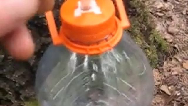 сбор березового сока 2015