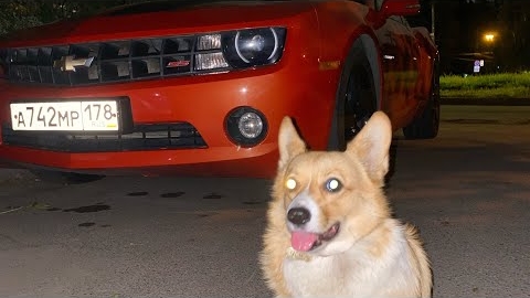 ВОТ ЗАЧЕМ НУЖЕН ТОП 1 ФОРБС! СКУПИЛ ВСЕ ЯХТЫ! МОЯ САМАЯ ДОРОГАЯ КОЛЛЕКЦИЯ НА ГТА 5 РП!