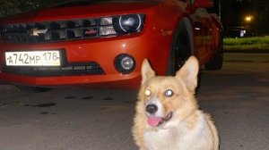 ВОТ ЗАЧЕМ НУЖЕН ТОП 1 ФОРБС! СКУПИЛ ВСЕ ЯХТЫ! МОЯ САМАЯ ДОРОГАЯ КОЛЛЕКЦИЯ НА ГТА 5 РП!