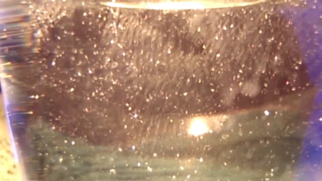 Вода из аквариума смотреть онлайн