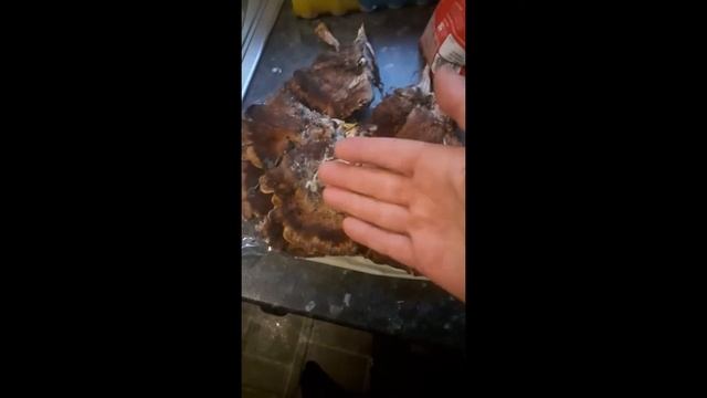 mushroom hunting/Meripilus giganteus смотреть онлайн
