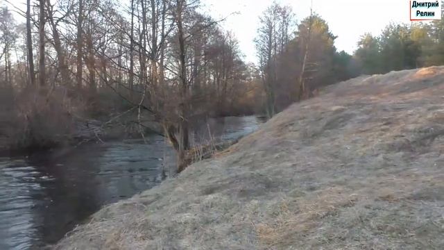 ТВТ 2021 9 11 апреля Синезёрки р Ревна смотреть онлайн
