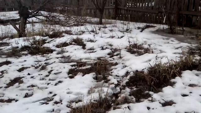 Весенний паводок 2018