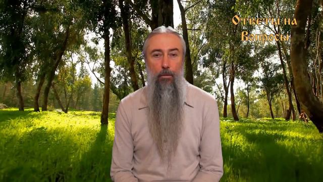 И.А. Глоба - 48 - Причиняю ли я вред Роду при занятии мастурбацией? смотреть онлайн