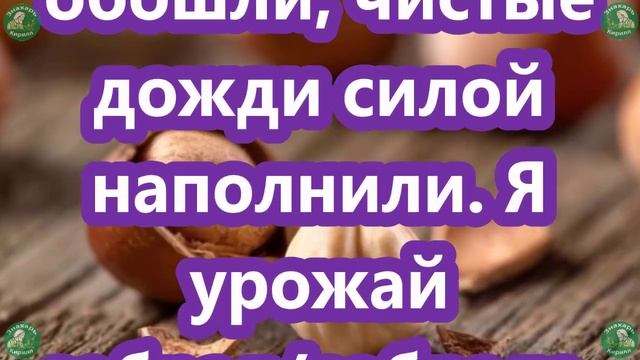 Не Упусти Возможность Сделать Лучшие Обряды(Заговоры) на Ореховый Спас -29 Августа ?? Знахарь-Кирил смотреть онлайн