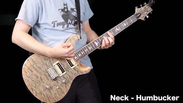 Sweetwater Exclusive! | 2018 PRS SE Custom 24 | Trampas Green Quilt Top, Matching Headstock | Revie смотреть онлайн