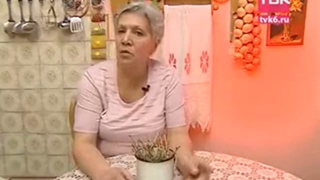 Черенкование смородины весной смотреть онлайн