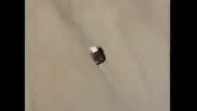 Suzuki Vitara смотреть онлайн