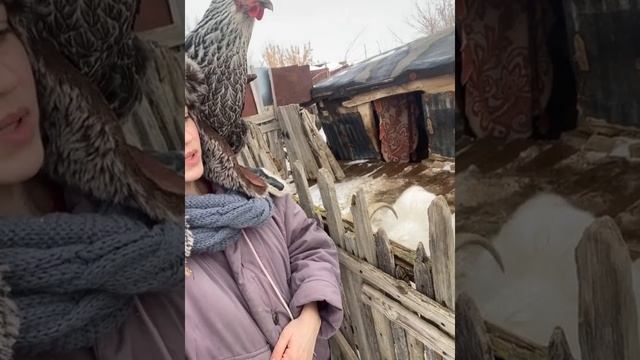 Зашли к Тосе