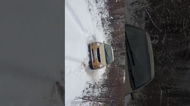 В такие моменты думаешь как жить в лесу ? #car #offroad #toyota #авто