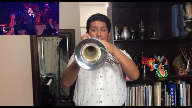 Dance With A Stranger - Yanni // Flugelhorn Solo