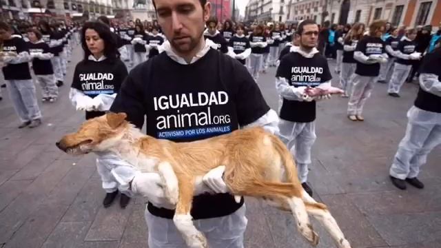 Забивают живьём смотреть онлайн