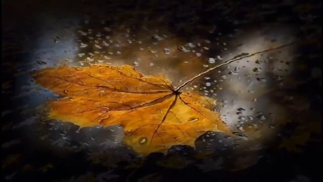 ОСЕННИЙ САКСОФОН Фаусто Папетти 2 смотреть онлайн