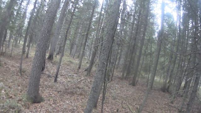 Охота на рябчика... смотреть онлайн