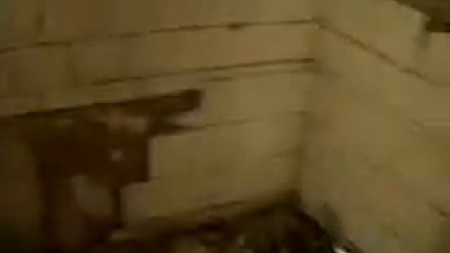 дом где живет Яцына Павел.mp4 смотреть онлайн