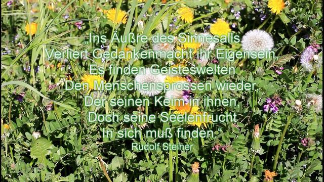 Rudolf Steiner Seelenkalender 2te Woche смотреть онлайн